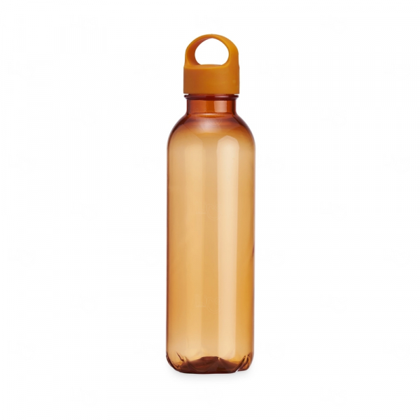 Garrafa Plástica 650ml com Alça Personalizada 