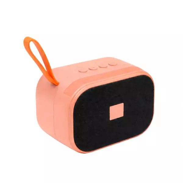 Caixa de Som Personalizada com Suporte Salmão
