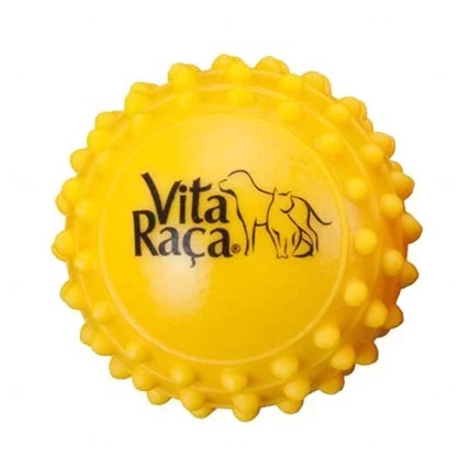 Bolinha Anti Stress Cravinho Personalizada 