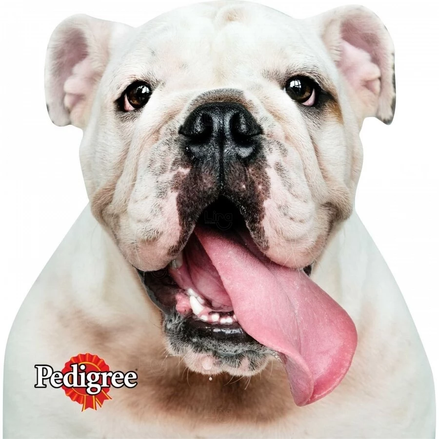 Mouse Pad Personalizado em Neoprene – Formato Sob Medida 